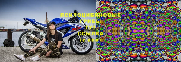 Альфа ПВП Елизово
