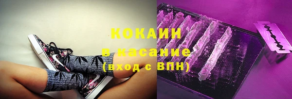 mdpv Ельня