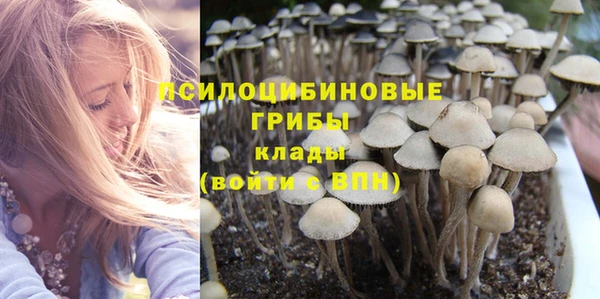 Альфа ПВП Елизово