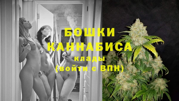 mdpv Ельня