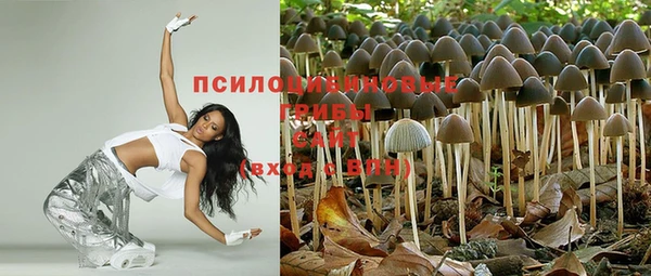 mdpv Ельня