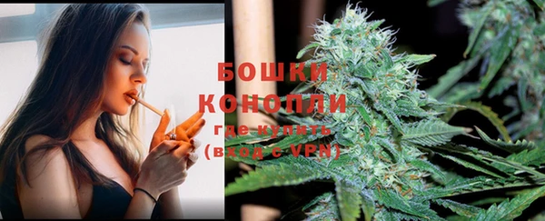 Альфа ПВП Елизово